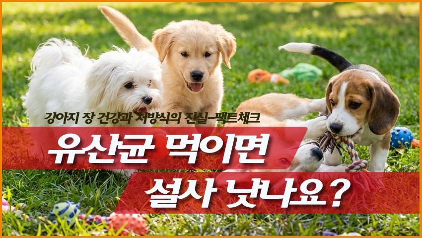 유산균 멱이면 설사 낫나요?