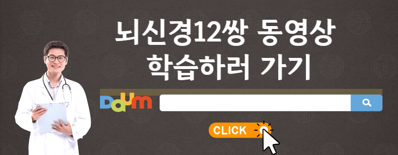 뇌신경