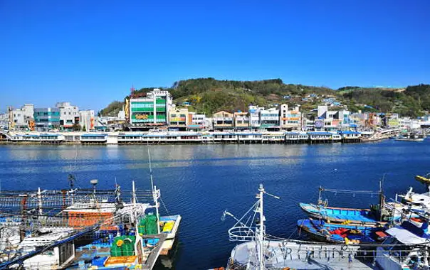 강구항