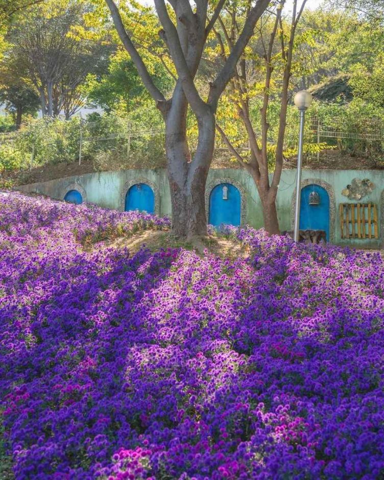 10월 지역 축제 충남 충북 가을 축제 정보