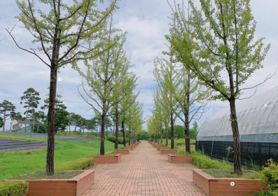 여주시 금은모래강변공원