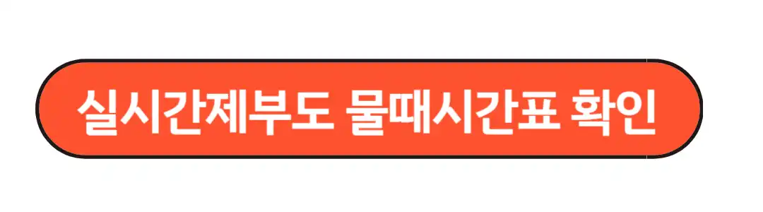 물때시간표