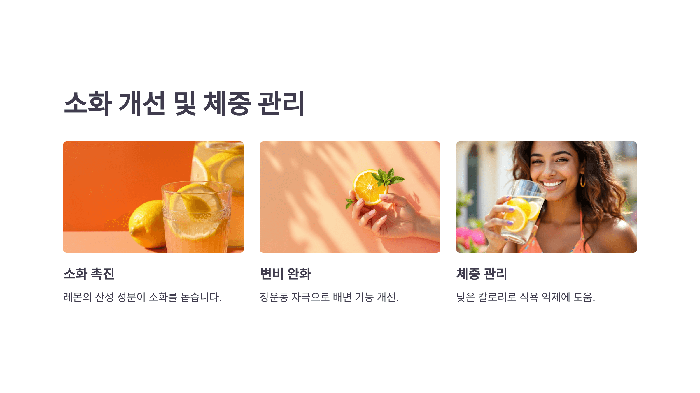 레몬수와 관련된 사진입니다.