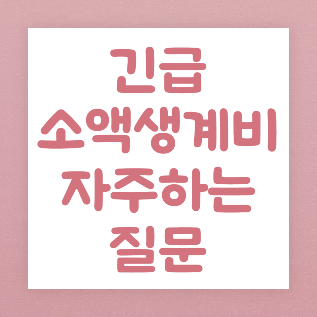 긴급소액생계비 자주하는 질문