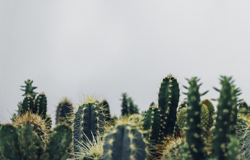 쳇지피티 무료 사용 홈페이지