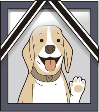 황색-강아지가-혀를-내밀고-발을-들어-안녕하는-모습을-하고있는-근조-사진