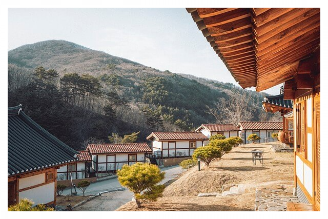 청와대 관람예약 신청하기 - 청와대 관람예약 신청방법
