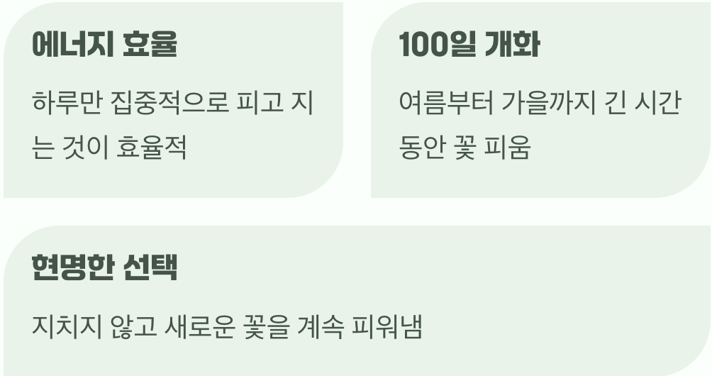 단 하루에 모든 것을 쏟아붓는 전략
