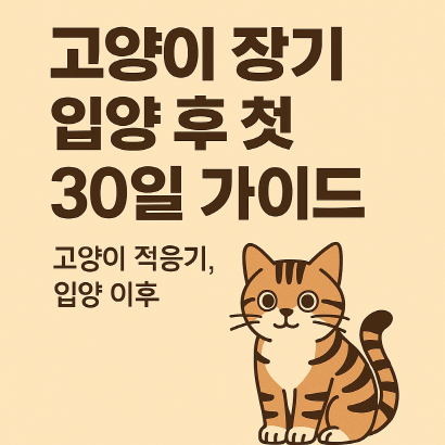 고양이 입양 이후 생활 적응기 : 처음 한 달, 어떻게 돌봐야 할까?