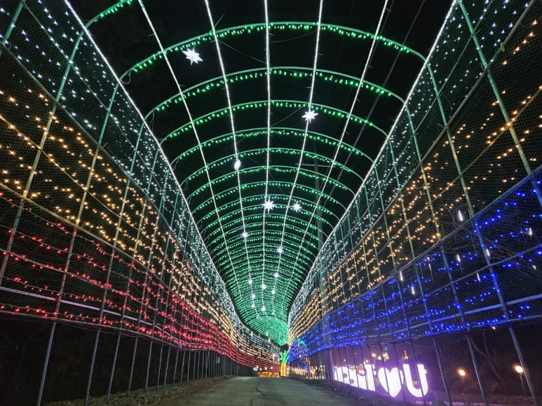 고니골 빛축제4