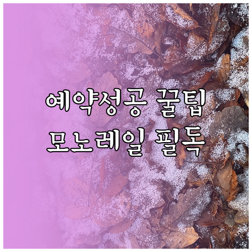 화담숲 입장권 예약방법 및 모노레일 ..