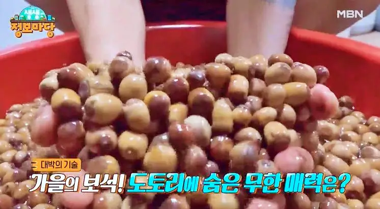 식객 허영만 백반기행도 반한 탱글 도토리묵 황태 육수 온묵밥 냉묵밥 묵사발 공주 맛집 추천