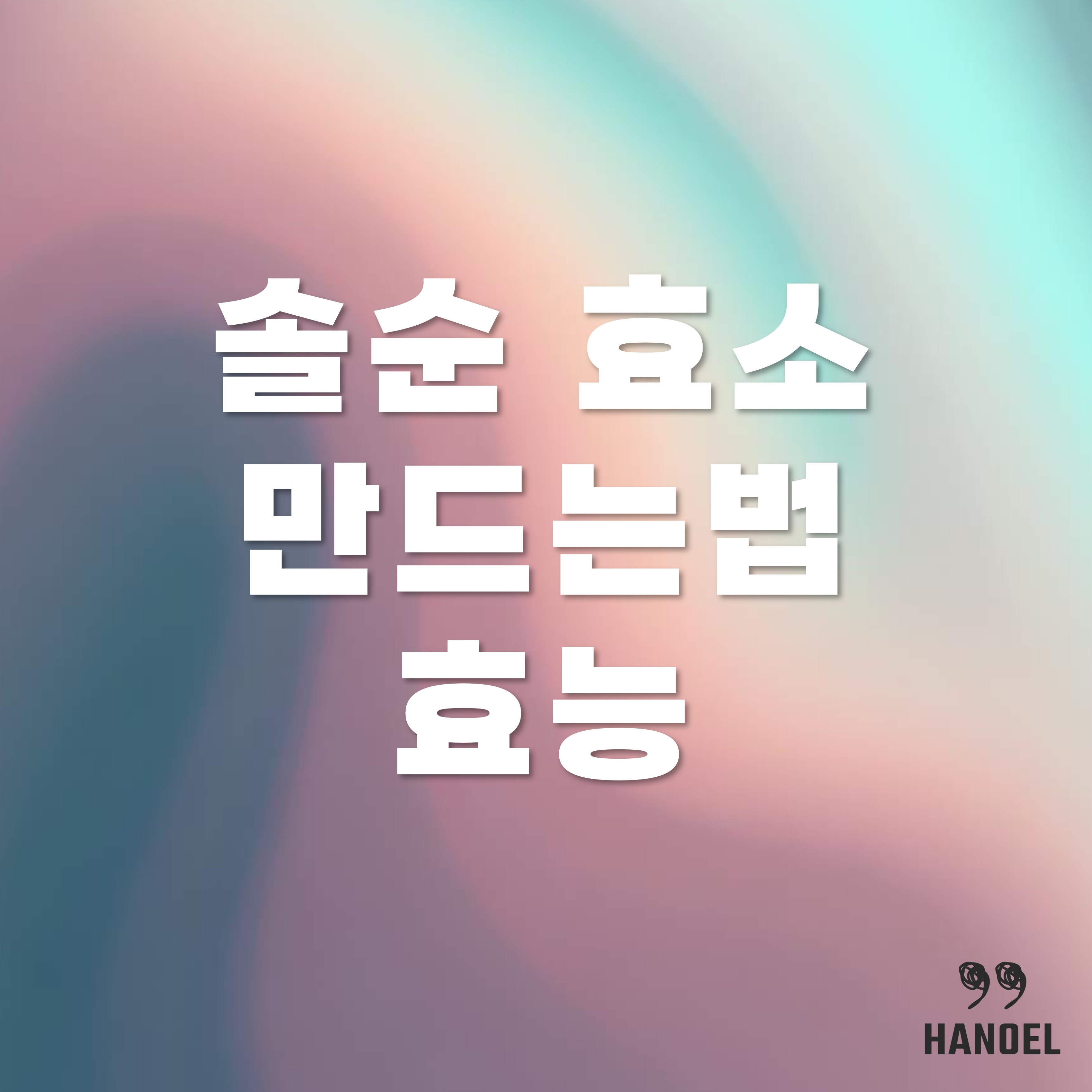 솔순 효소 효능과 담그기 담그는법, 만드는법과 먹는법
