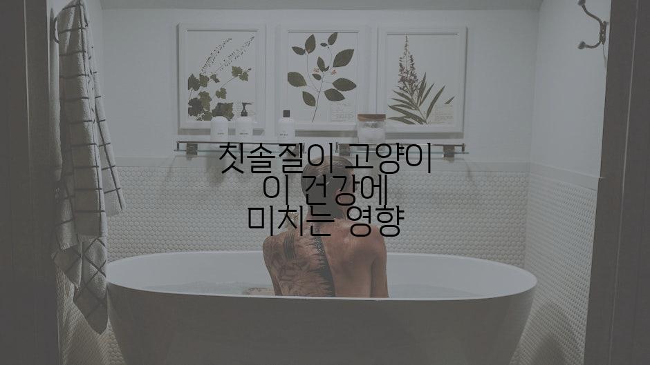 칫솔질이 고양이 이 건강에 미치는 영향