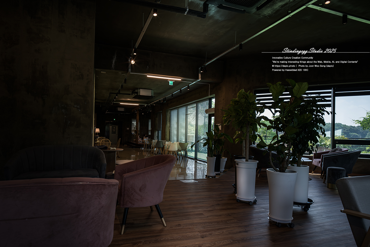 #증평 #카페 #미몽