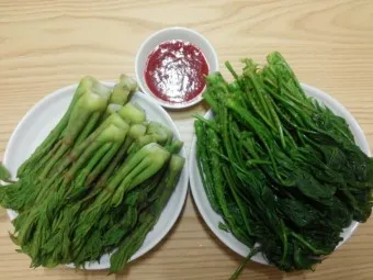 개두릅 참두릅 차이 섭취방법_8