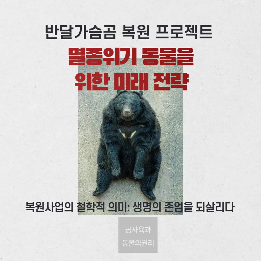 반달가슴곰 복원 프로젝트: 멸종위기 동물을 위한 미래 전략