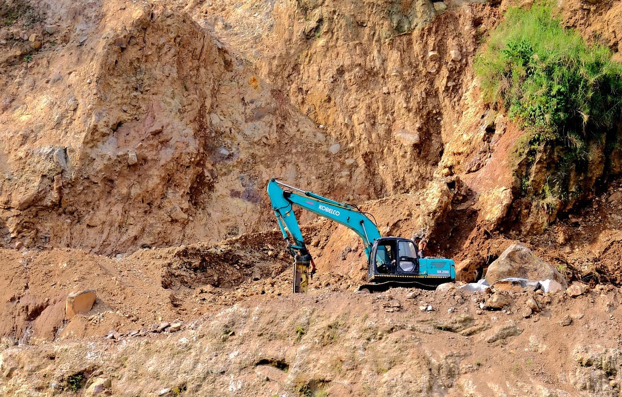 도시화가 생물다양성에 미치는 5가지 영향