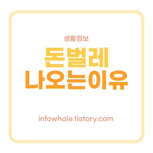 돈벌레나오는이유