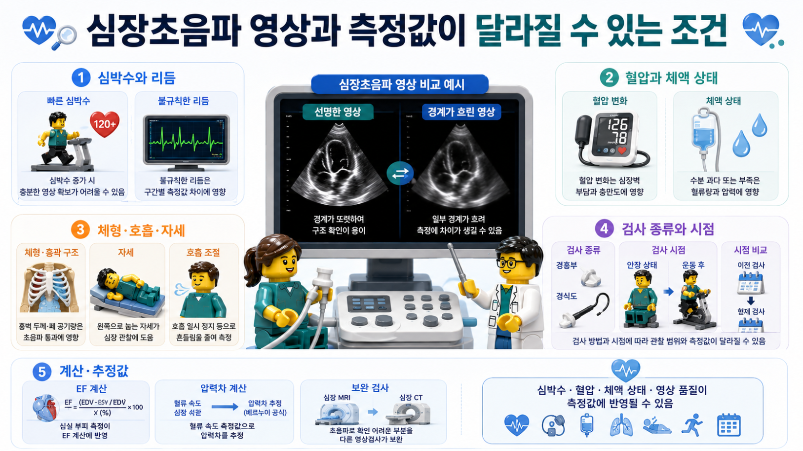 심장초음파 영상과 측정값에 영향을 줄 수 있는 심박수, 혈압, 체액 상태, 자세, 검사 시점을 설명한 의료 인포그래픽