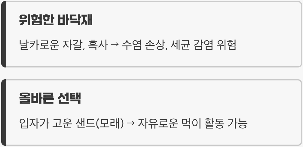 2. 수염을 망가뜨리는 '날카로운 바닥재'