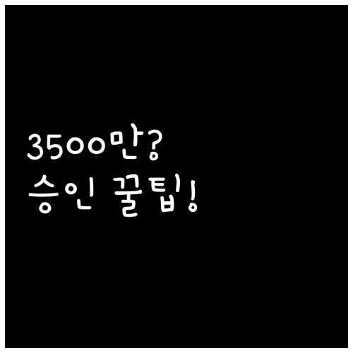 카카오뱅크 마이너스통장 연소득 350..