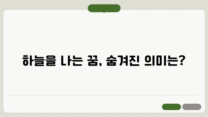 날아다니는 꿈