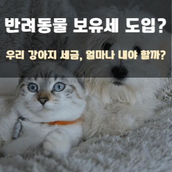 반려동물-보유세