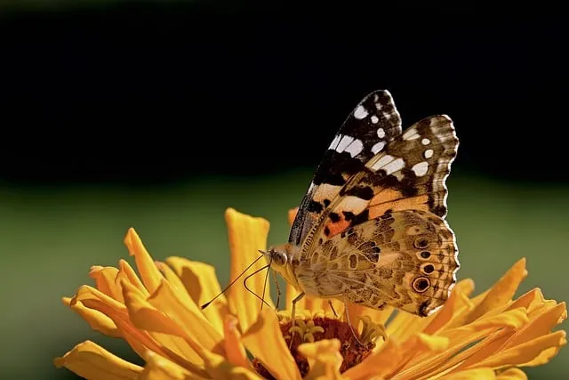 예수님의 십자가 구레네 사람 시몬의 이야기_5
