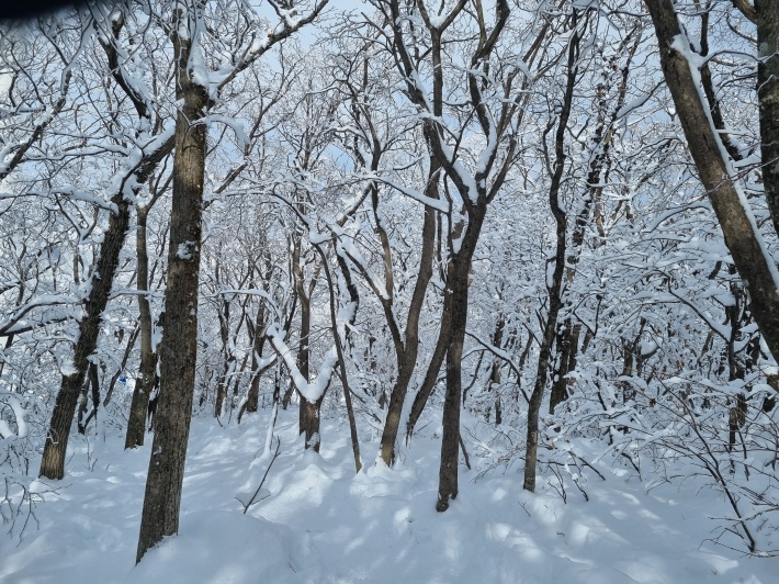 설경