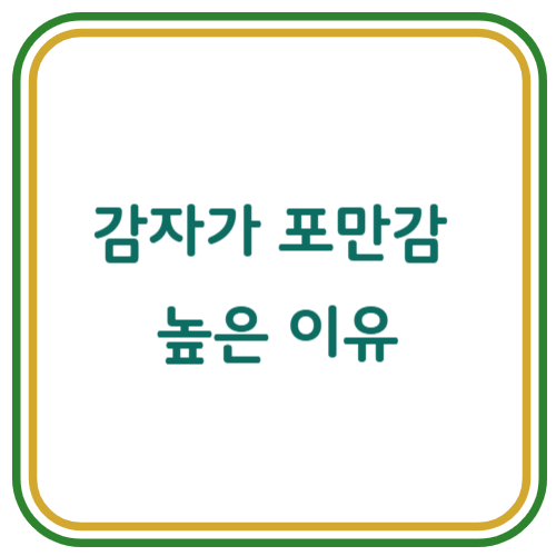 감자가 포만감 높은 이유와 다이어트 활용법