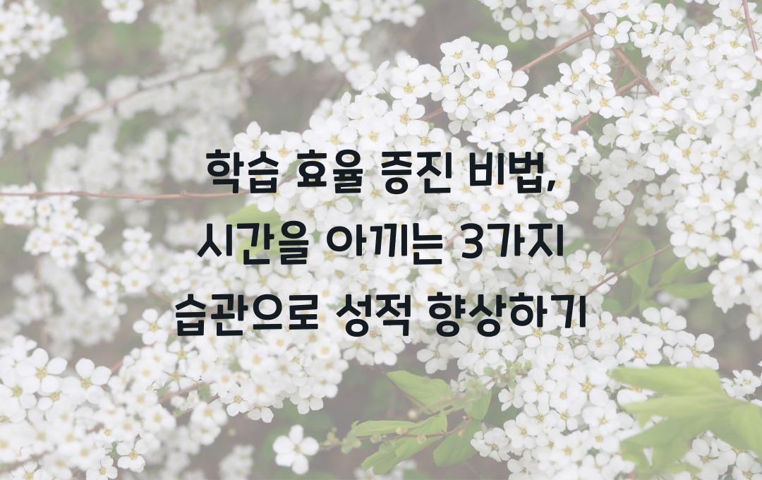 학습 효율 증진 비법: 시간을 아끼는 3가지 습관
