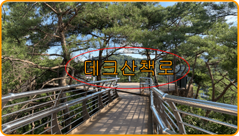 원주 출렁다리 가는길