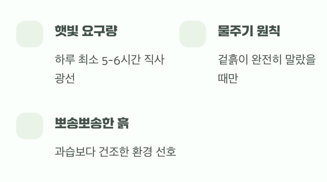 야생화의 취향&amp;#44; 햇살은 듬뿍 물은 인색하게