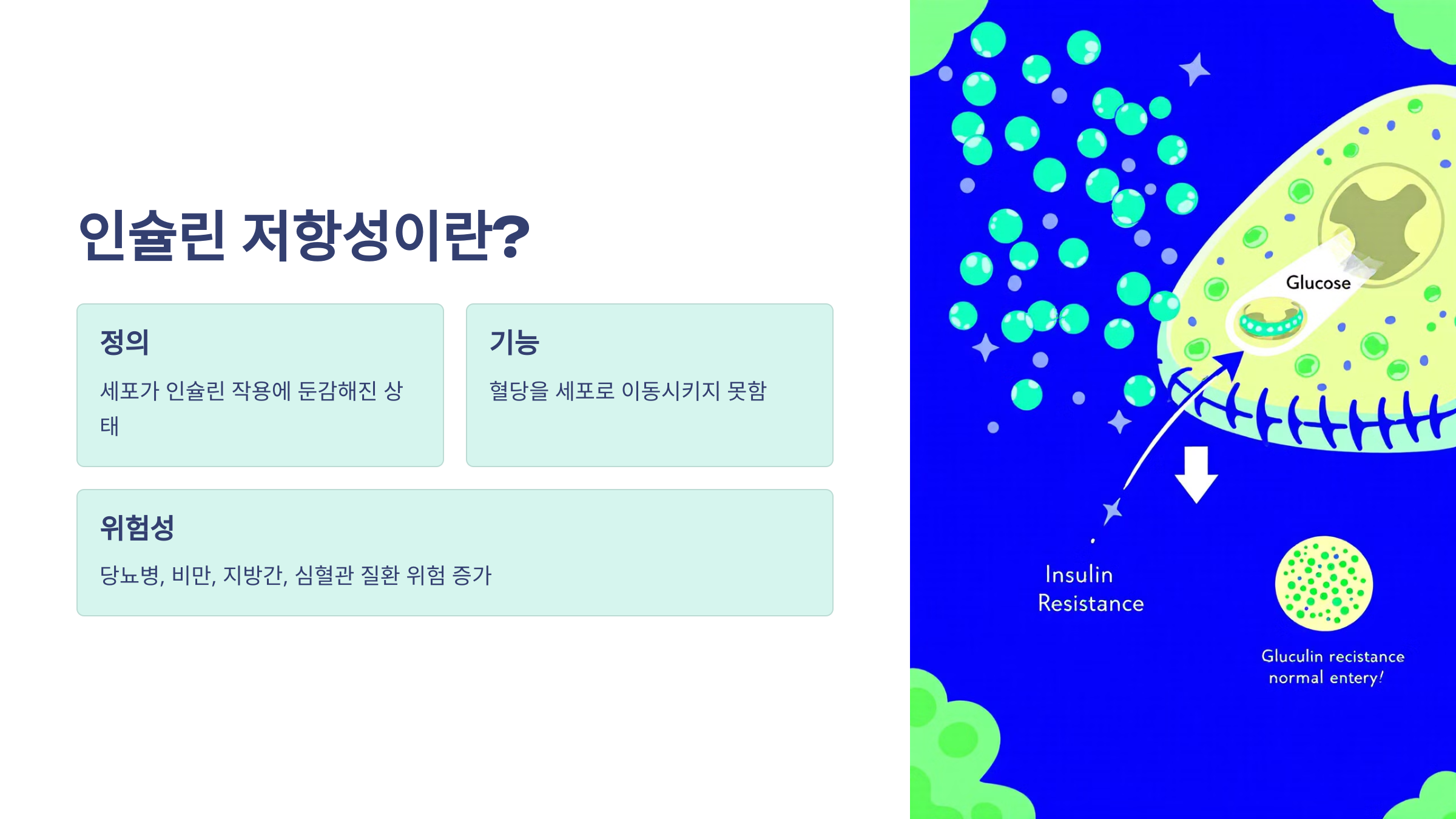 인슐린 저항성 개념 이미지