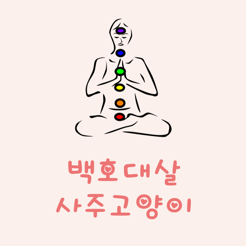 백호대살이란