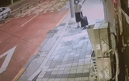 정유정 사이코패스