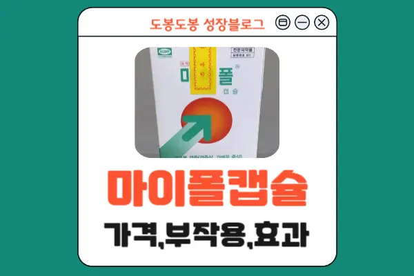 마이폴캡슐 안내 이미지