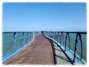 부산 가볼만한곳 청사포다릿돌전망대