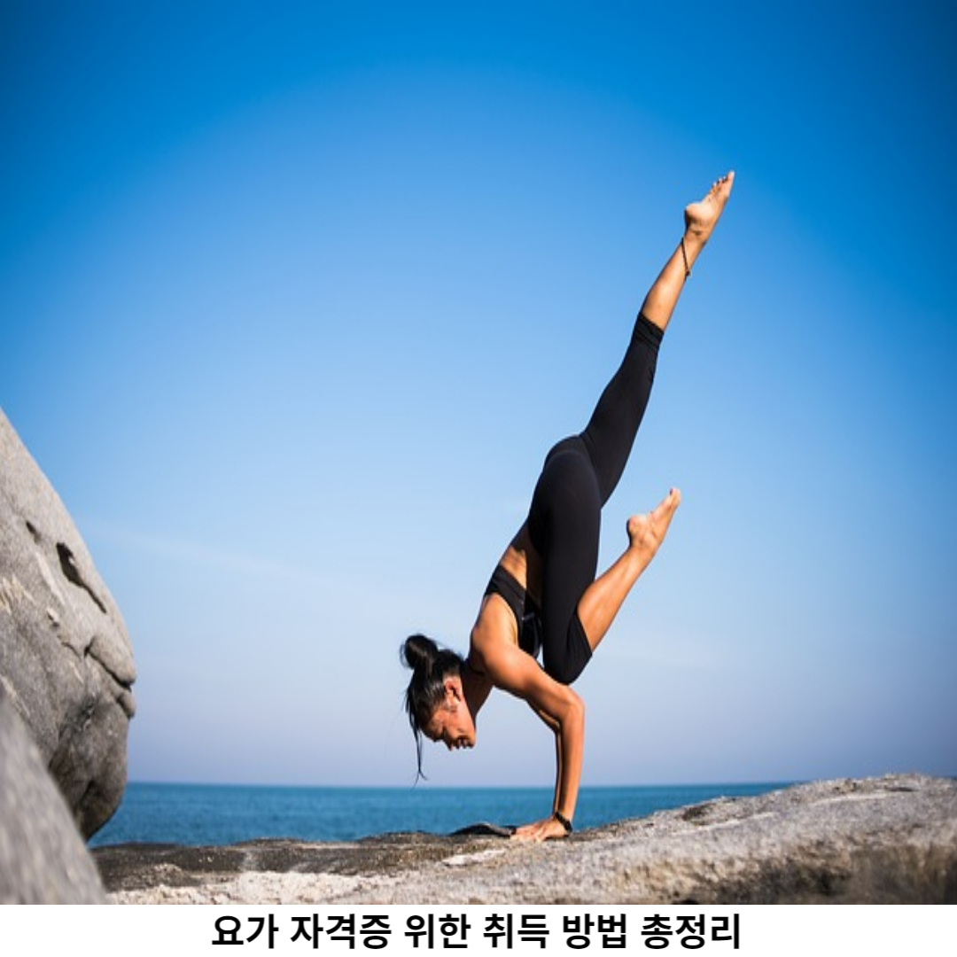요가 자격증 취득 방법