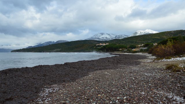 2026년 1월 제주도 날씨 예보 전망