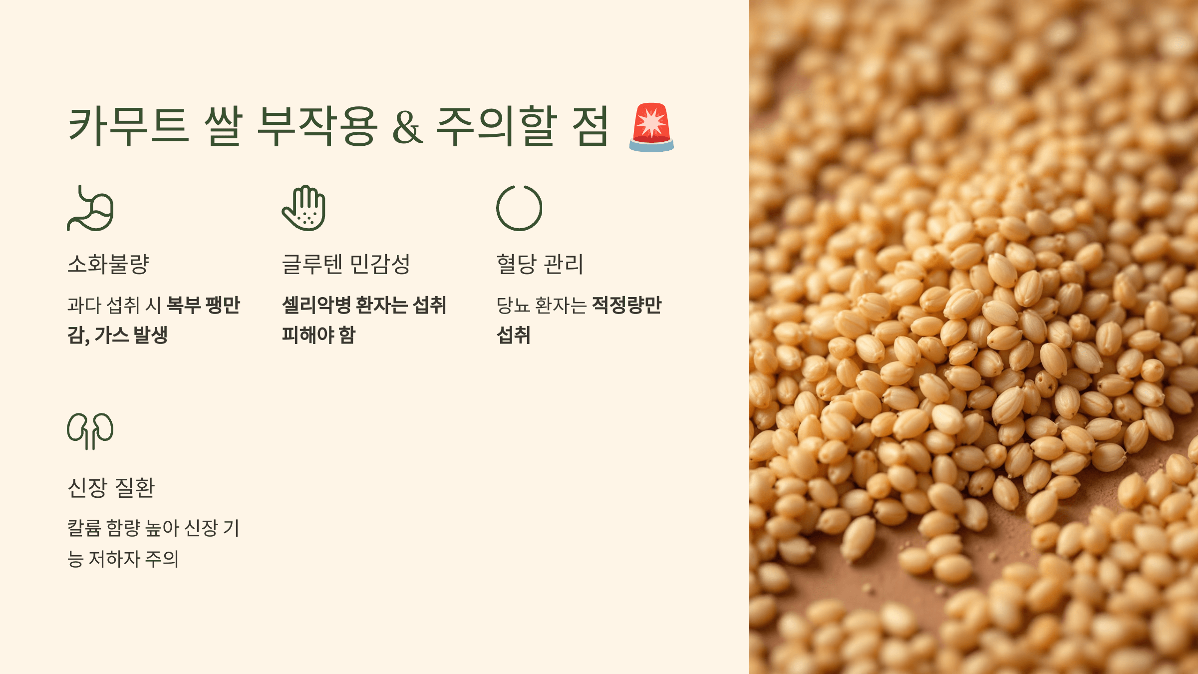 카무트 쌀 사진입니다.