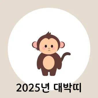 2025 띠별 운세 대박 띠 삼재띠 좋은 띠_25
