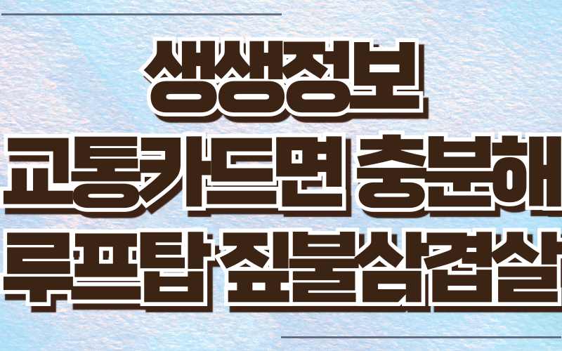 생생정보 교통카드면충분해 남양주 루프탑 짚불삼겹살