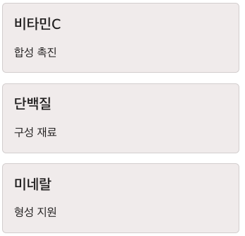 콜라겐 단백질,미네랄