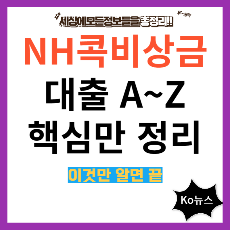NH콕-비상금대출-핵심정리