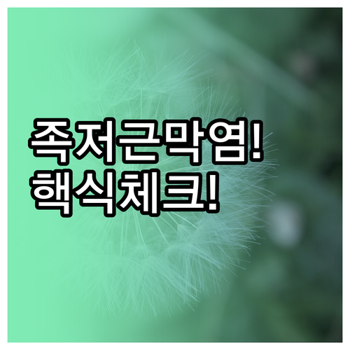 족저근막염 양말 핵심 체크포인트와 올..