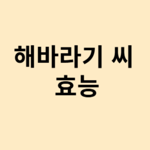 해바라기 씨 효능