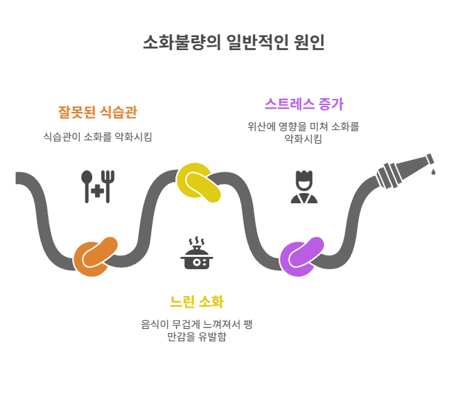 소화불량과 체기의 일반적인 원인