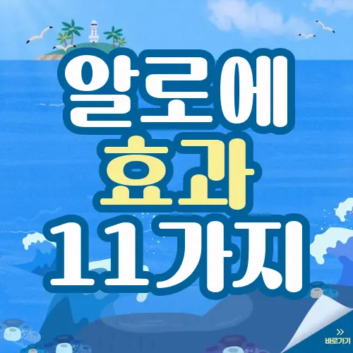 알로에 효과